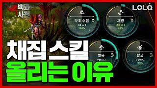 [광고] 채집 스킬은 왜 올려야 할까? 채집의 모든 것! / V4백과사전 | V4[브이포] 롤큐