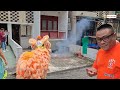 2025 cny gathering lion dance u0026 qilin blessing 马来西亚雪隆龍獅聯合總會 雪隆龍獅聯合總會新春大團拜