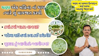 ચણા એક મહિના નાં થાય ત્યારે શું માવજત કરવી | ક્યાં ક્યાં ખાતર નાખવા | પહેલો કઈ દવા નો રાઉન્ડ મારવો |