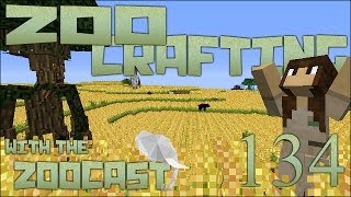 Fields of Gold! 🐘 Zoo Crafting: Episode #134 [Zoocast]