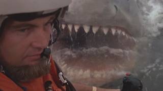 Behind the Scenes: Jaws 2 (Szwarc, 1978) with Roy Scheider and Lorraine Gary