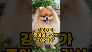 강아지가 가장 좋아하는 간식 TOP 10