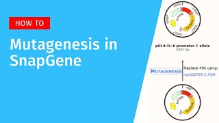 Primer Directed Mutagenesis in SnapGene