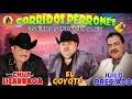 PUROS CORRIDOS RECUERDO MIX - CHUY LIZARRAGA, EL COYOTE Y JULIO PRECIADO - LO MEJOR DE LO MEJOR