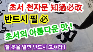 [행복의 길]초서 천자문/지과필개 知過必改/왕희지 초서/초서 배우기