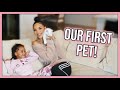 Our New Family Member! | MOM VLOG