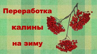 Простой способ переработки калины на зиму, калина протертая.