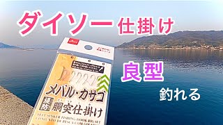 【ダイソー仕掛け】100均の釣具でいろいろやってみたら良型が沢山釣れました！