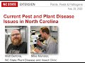 PPP February 2020 | Pest and Plant Disease Issues in NC