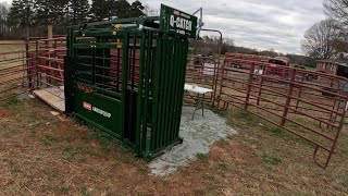 1 YEAR Review of Our ARROWQUIP 54 Series Squeeze Chute and Walk Through!