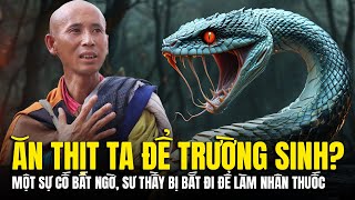 GHÊ TỞM, KINH HOẢNG, Sư Minh Tuệ Bị MAFIA THÁI LAN Bắt Đi Để Làm Thuốc TRƯỜNG SINH Liệu Có Thật?