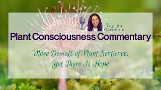 More Denials of Plant Sentience, Yet There Is Hope | Plant Consciousness Commentary