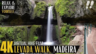 Madeira's Most RELAXING [Virtual] Walk: Levada do Moinho \u0026 Levada Nova [PR7, 4K]