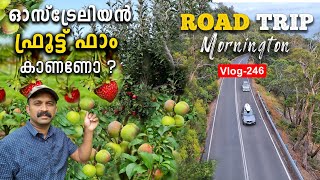 Australian Fruit Farm അടിപൊളി ആണ്. RoadTrip!Australia!Travel