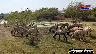 आठ माह से लगातार बह रही हैं यहां नदी//जलस्तर मे बेहताशा वृद्धि...