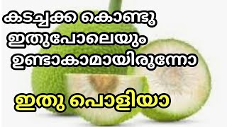 Kadachakka Recipes ||  sheemachakka || കടച്ചക്ക കൊണ്ടൊരു കിടിലൻ റെസിപ്പി