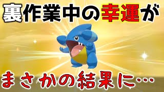 外国産色違いフカマルが生まれたら運が爆上がりした件【ポケモン剣盾/色違い厳選】