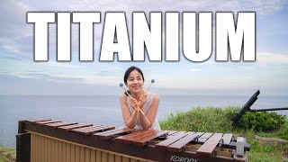 Titanium - David Guetta / Marimba cover
