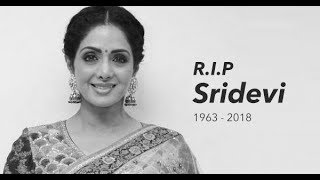 நடிகை ஸ்ரீதேவி மரணம் | திரையுலகினர் அஞ்சலி | Actress Sridevi Death Video