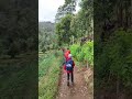 Pemandangan Lereng Gunung Gede via Putri yang berisi kebun - kebun warga sekitar #pendaki #shorts