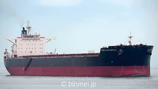 CAPE ALEXANDROS - Golden Cargo, bulk carrier