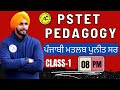 PSTET PEDAGOGY | ਪੰਜਾਬੀ ਮਤਲਬ ਪੁਨੀਤ ਸਰ | LIVE | 08:00 PM | CLASS-1 | BY PUNEET SIR