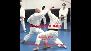 JIYU IPPON KUMITE