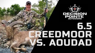 6.5 Creedmoor (ELD-X) Vs. Aoudad  (450yd shot)