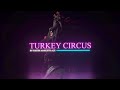 Turkey Circus, The Oak & Foster Marketplace