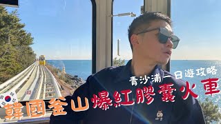 釜山自由行必搭爆紅膠囊小火車！交通全攻略大公開～ Korea Busan Travel VLOG