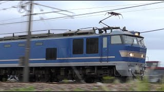 EF510-507牽引高速貨物【HD】信越本線3098ﾚ