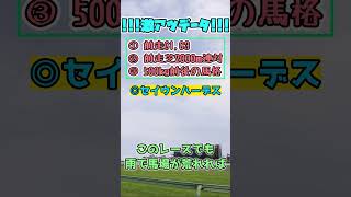 【七夕賞2023】激アツデータ予想！【ぷるるん競馬】#Shorts