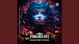 Quantum Voyage