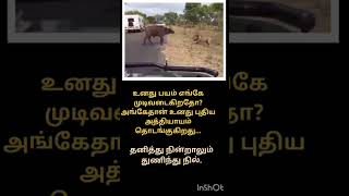 ஓடும் வரை துரத்தும்  .துணிந்து நின்று பார்த்தால்.#shorts #shortfeed #shortyoutube ##shortsviral #