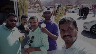 wadi e jinn , madinah / மதினா வாதி ஜின் , ஒட்டக சவாரி  #madhina  #whitewingstn65 #saudiarabia