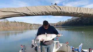 Dragging for Blue Catfish!!! (Fish Broke the Planer Board)