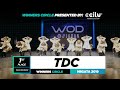 TDC | 1st Place Team | Winners Circle | World of Dance Niigata 2019 | #WODNiigata19