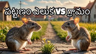 పట్టణం ఎలుక vs గ్రామం ఎలుక కథ.||Rajusworld