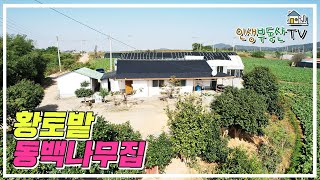 7500만원 바닷가 시골주택! 300평 넓은 토지! 본채 + 저온창고 + 온실하우스 + 일반창고+ 고급 분재까지!! 집앞 유명저수지 낚시터도 있어요!