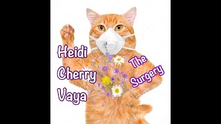 Fun Bedtime Story For Kids | Heidi, Cherry \u0026 Vaya - The Surgery