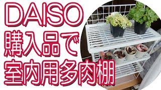 DAISO購入品で室内用多肉棚