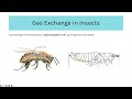 ocr a level biology module 3 exchange surfaces transport in animals and plants complete guide