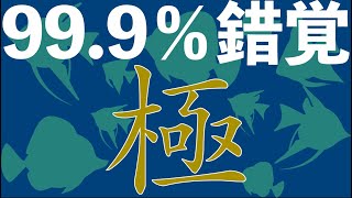 目の錯覚！99.9%の人が錯覚する！究極の錯覚！まるで熱帯魚の水槽のよう！ミッキー型のクレーターが・・・