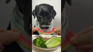 Dog eating #you #shortsclip #foryou #live #reaction #reels #respect #top #trending #viral #1million