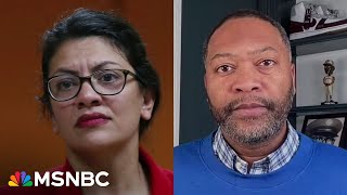Dem. strategist on Tlaib: 'You don't slap the president in the face'