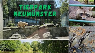 Zoo Neumünster | Tierpark ganz im Norden mit Eisbär und Co | Wie ist unser Fazit nach dem Rundgang?