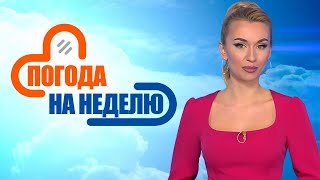 Ветер и мокрый снег! | Погода в Беларуси с 12 по 18 января | Плюс-минус