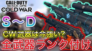 【Warzone】意外な武器がメタ武器に!? CW武器ランク付けしてみた！