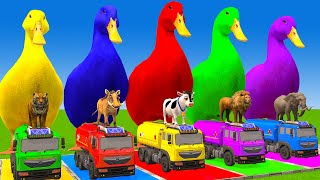 5 Giant Duck Cartoon,Cow,Elephant,Tiger,Lion,Dinosaur,Paint Wild Animals Crossing Fountain Animation