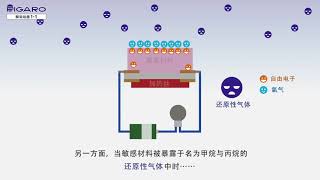 【费加罗技研株式会社】半导体式气体传感器是如何检测气体的？